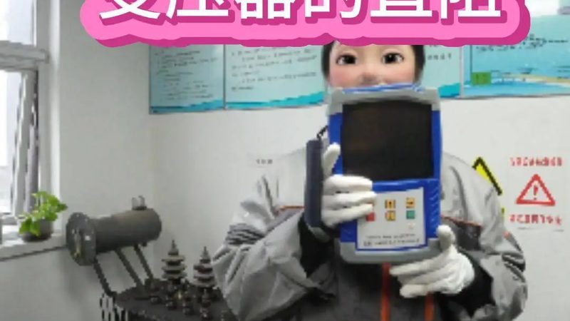 上海可燃气体检测仪：守护安全的智能守护者**